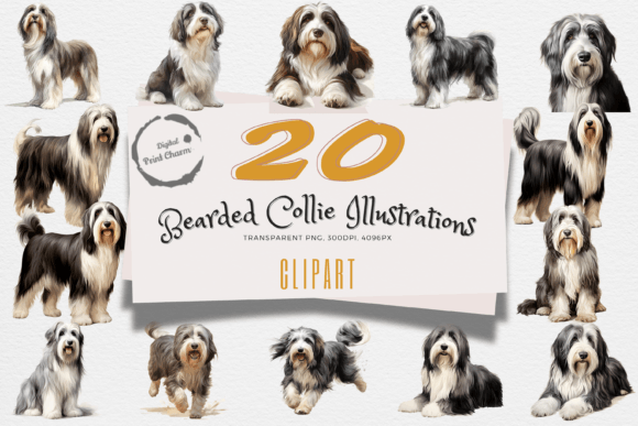 Download Bearded Collie Dog Art Clipart Pack - Dog Collection