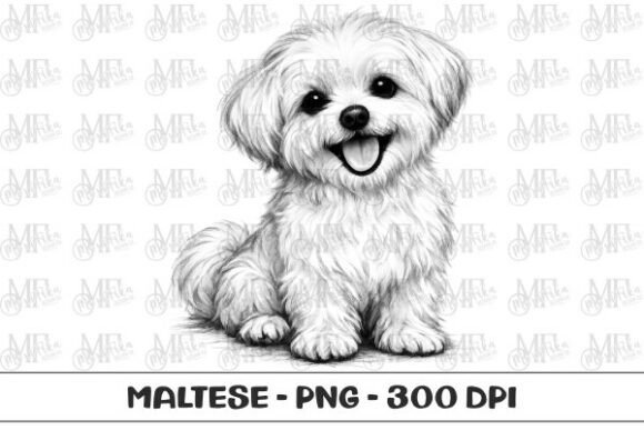 Download Maltese Dog Sketch PNG - Dog Collection