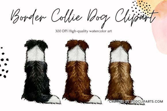 Download Border Collie Dog Clipart Dog Watercolor - Dog Collection