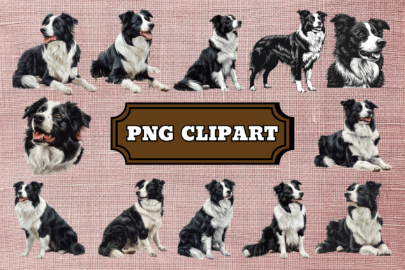 Download Border Collie Dog Clipart Bundle - Dog Collection