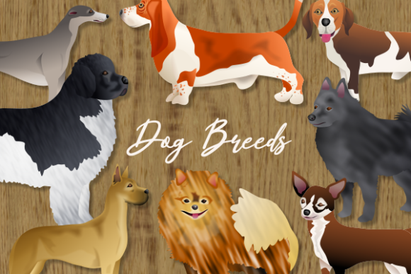 Download Pedigree Dog Breeds Animal Clipart Set - Dog Collection