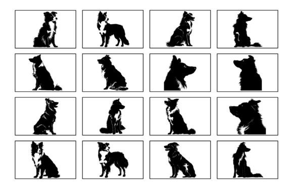 Download Border Collie Dog Silhouette Vector Set - Vector Collection