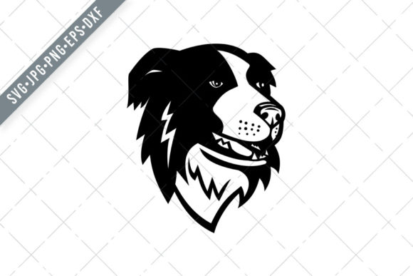 Download Head of Border Collie Scottish Sheepdog - Dog Collection