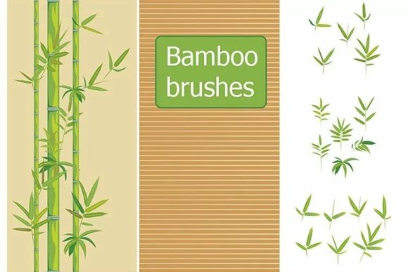 Download Bamboo Vector Brushes - Vector Collection