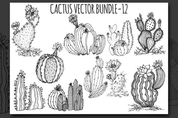 Download Cactus Vector Bundle-12 - Vector Collection