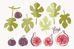 Download Figs - Clip Art & Vectors - Vector Collection